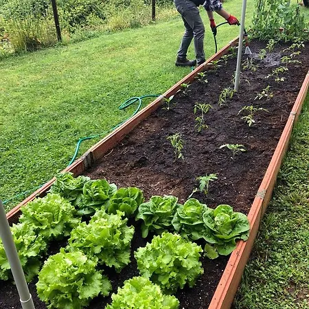 Bonalife - Senda Del Oso * Sabadia