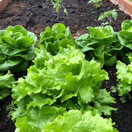 Bonalife - Senda Del Oso Gospodarstwo wiejskie Sabadia